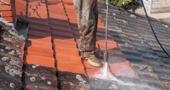 How to Remove Mold from Your Roof
