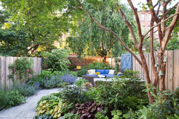 Backyard Oasis