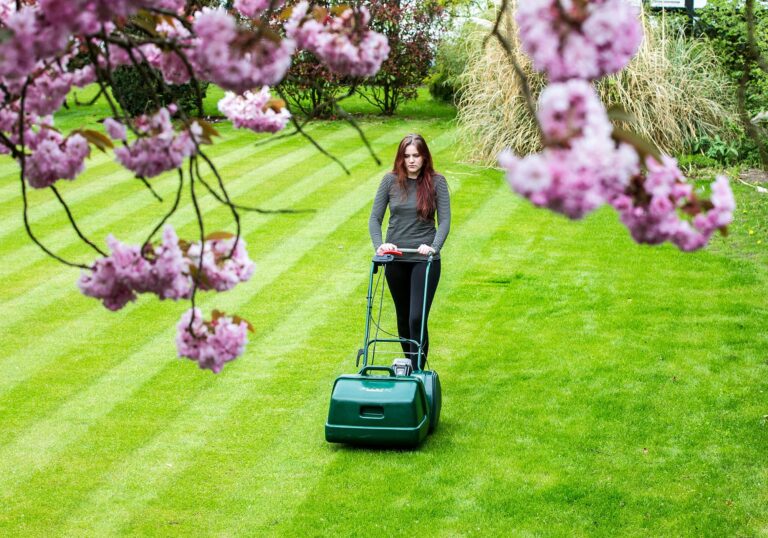 A Comprehensive Guide to Seasonal Variations in Lawn and Garden Care