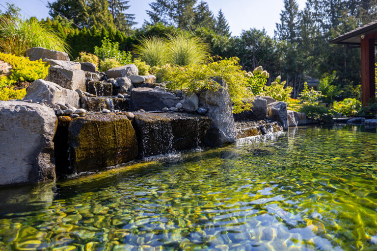 Do You Want to Maintain Your Pond with a Maintenance Contract?