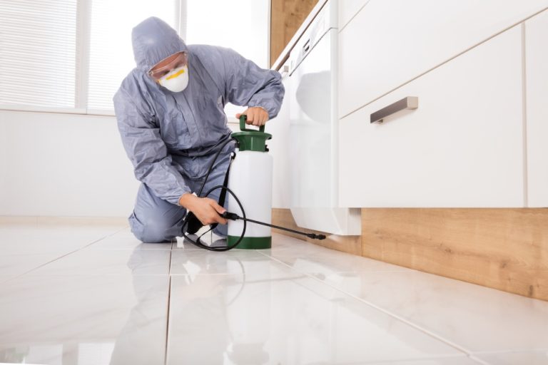 Pest Control Challenges in Prosper’s Rapidly Expanding Residential Communities