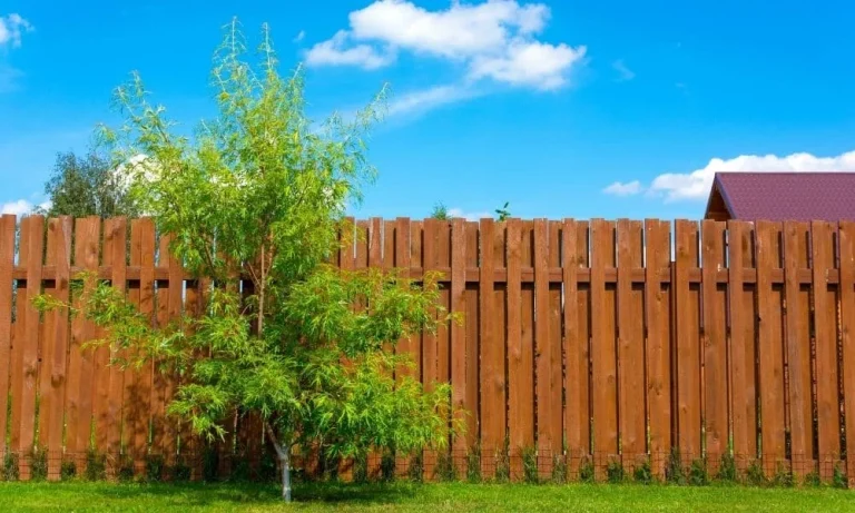 Revive Weathered Fences with Premium Stain Coatings and Finishing Touches