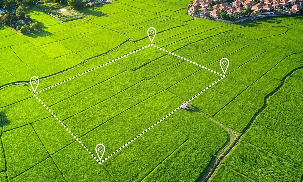 Land vs. Other Asset Classes: A Comparative Perspective