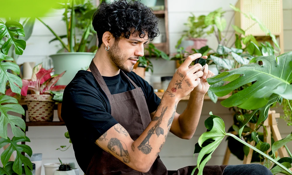 How to Build a Plant-Care Routine Around the Conditions You Actually Have